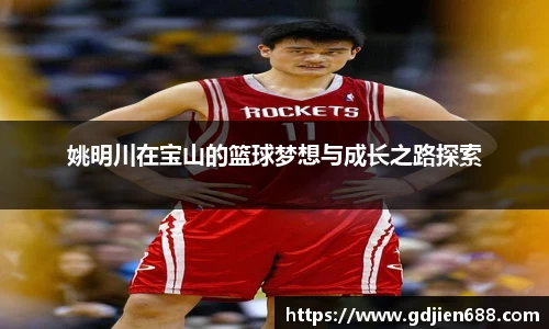 姚明川在宝山的篮球梦想与成长之路探索