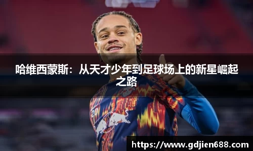 代理欧博